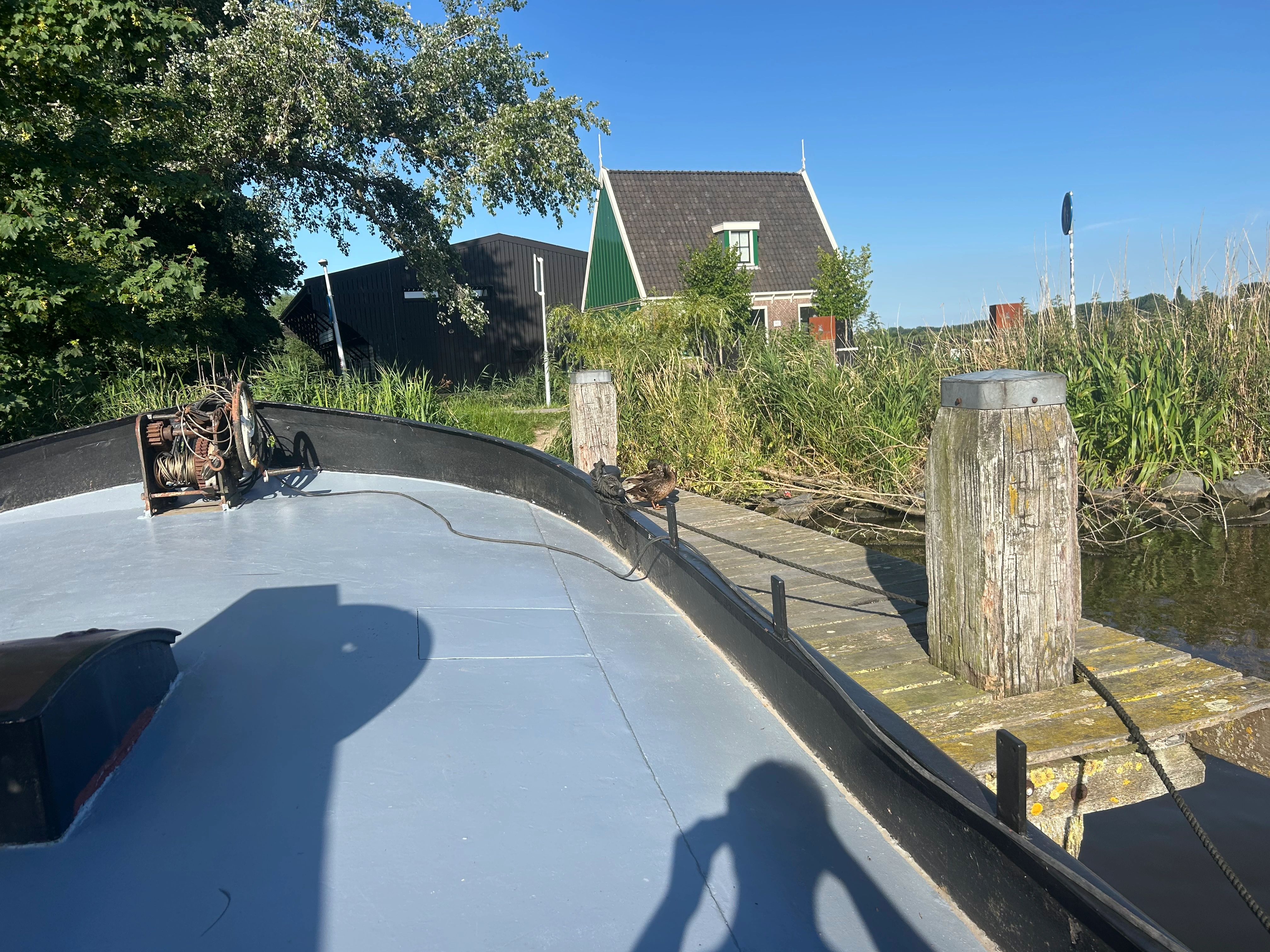 The "Verbetering"'s bow moored at a dock, with a duck on the railing